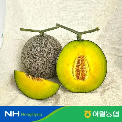 숯채화 흑진주 멜론 8kg 3수-4수