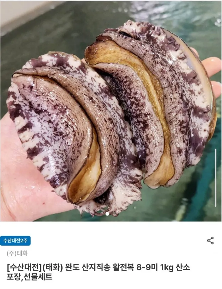 [남도장터] 완도 산지직송 활전복 1kg 8~9미 (21,770원/무료)