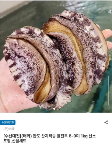 완도 산지직송 활전복 1kg (8-9미)