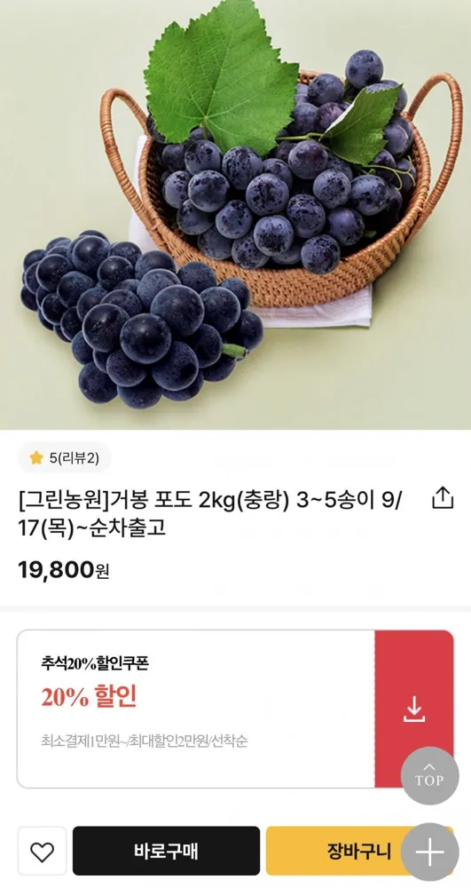 [굿뜨래몰] 거봉포도2kg(15,840원/무료배송)