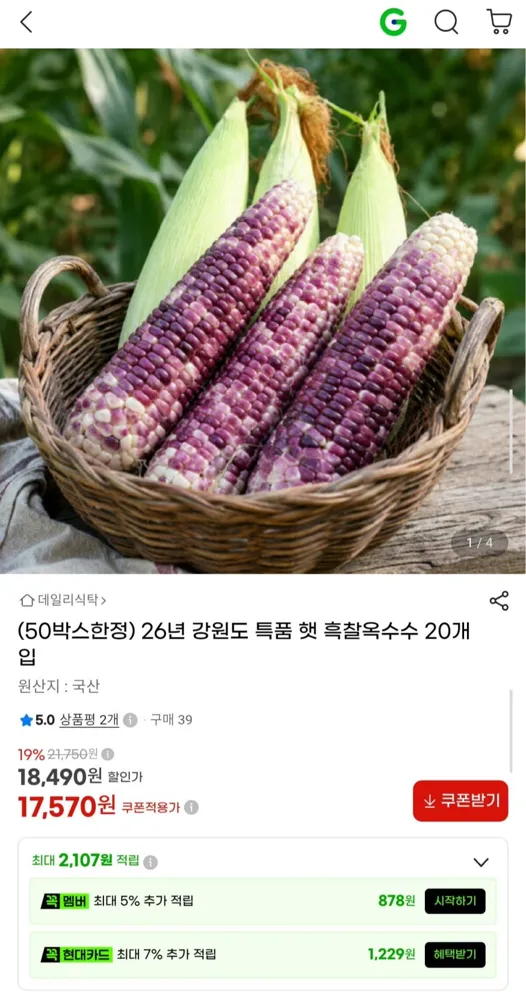 [G마켓] 26년 강원도 특품 햇 흑찰옥수수 20개 (17,570원/무료)