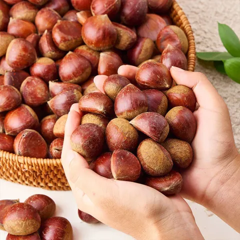 산지직송 부여 함양 산청 햇 밤 중 사이즈2kg