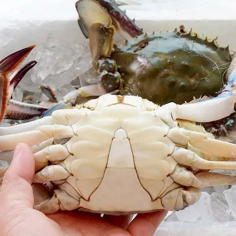 국내산 제철 생물꽃게 2kg 7~10미