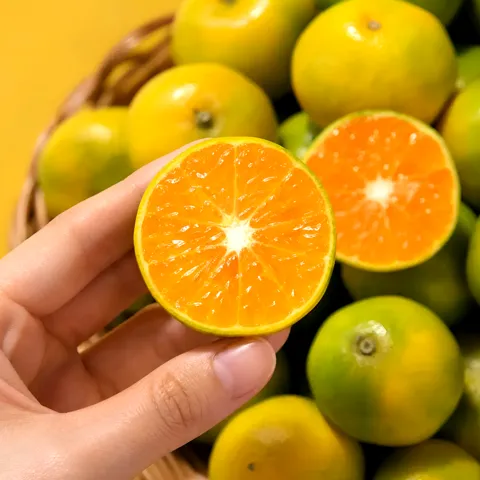 제주 하우스 감귤 3kg (2S-소과)