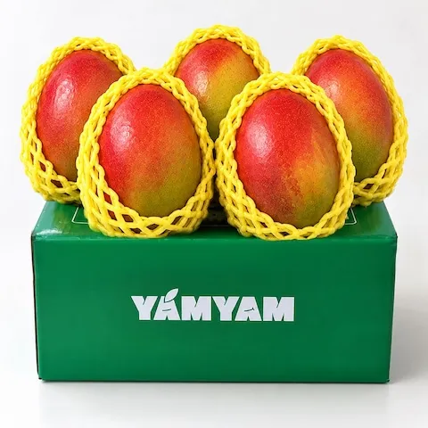 브라질 프리미엄 고당도 애플망고 2kg 4-5입