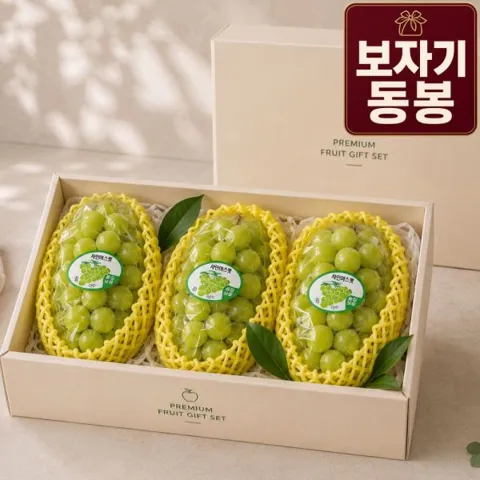 산지직송 샤인머스캣 2kg 선물세트