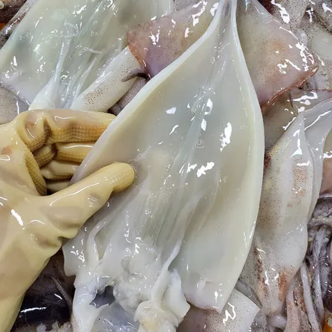 손질통오징어 10마리 220g 5팩