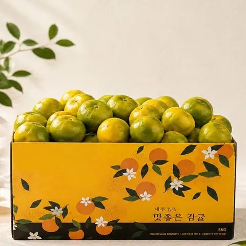 제주 햇 감귤 4.5kg 소과