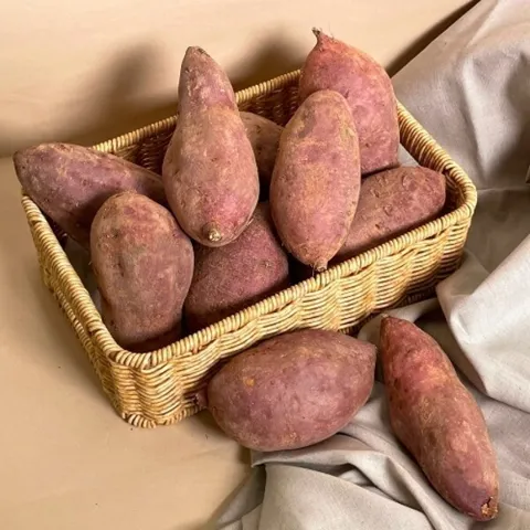 베니하루카 5kg 한입