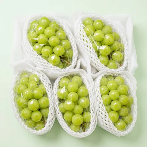 국내산 샤인머스켓 2kg