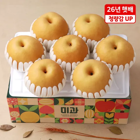 햇 수확 과즙 넘치는 배 3.7kg (5-7과)