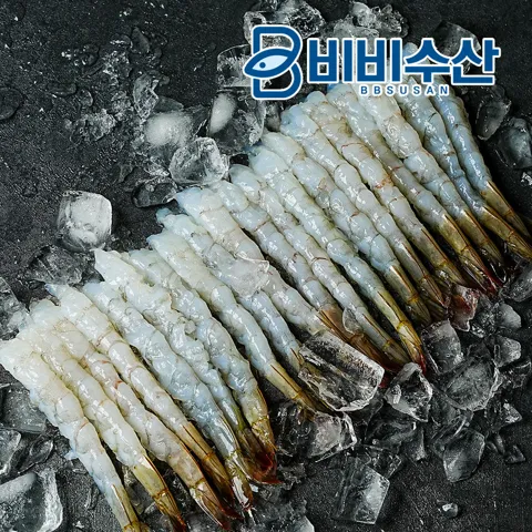노바시새우 40미+40미