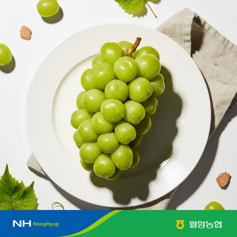(농할30%+5%) 고당도 샤인머스켓 당도선별 특품 2kg 4수