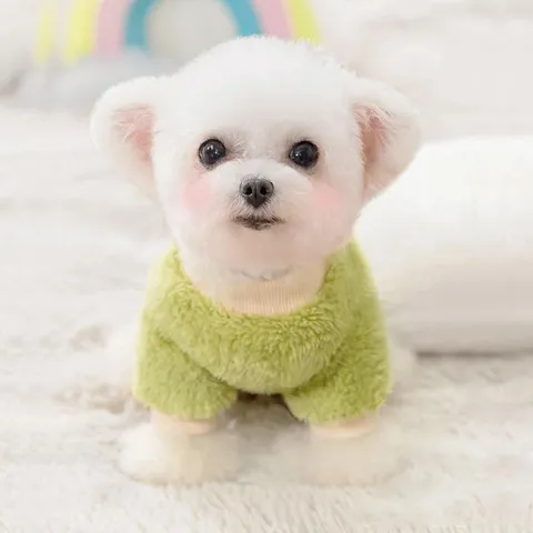 1+1 강아지 후리스