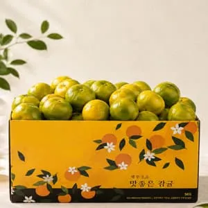 국내산 행복 제주 햇 감귤 4.5kg 소과
