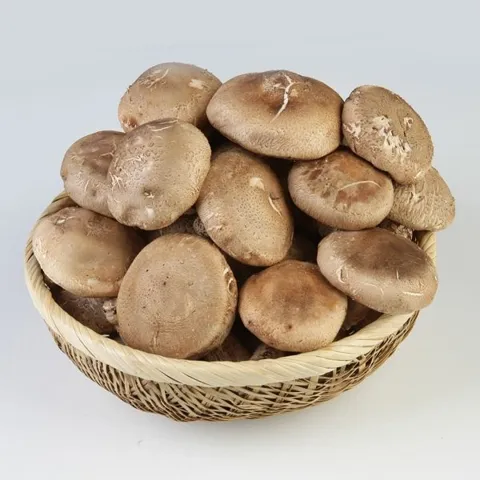 서천 표고버섯 실속형 1kg