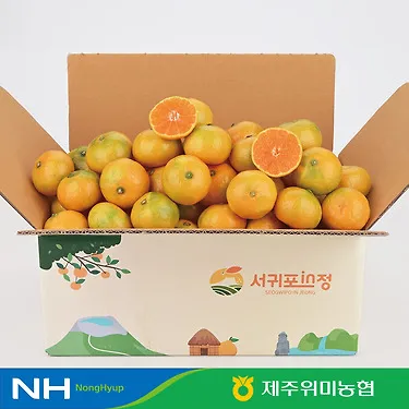 (농할) 제주 하우스감귤 중대과 로얄과 2kg