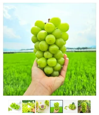 [톡딜] 김천 샤인 머스켓 알알이 포장 400g 2팩 (9,900원/무료)