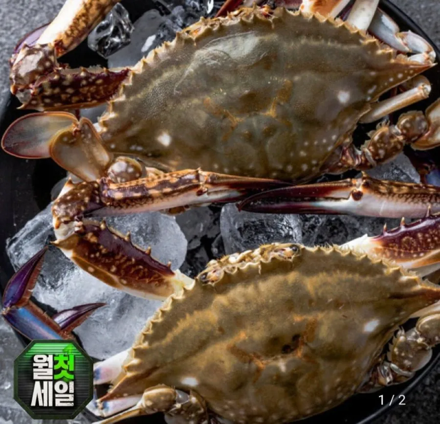 [G마켓] 꽃게 수꽃게 2kg (21,990원 / 무료)