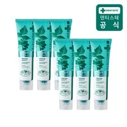 덴티스테 뉴브리즈민트 60g 6개