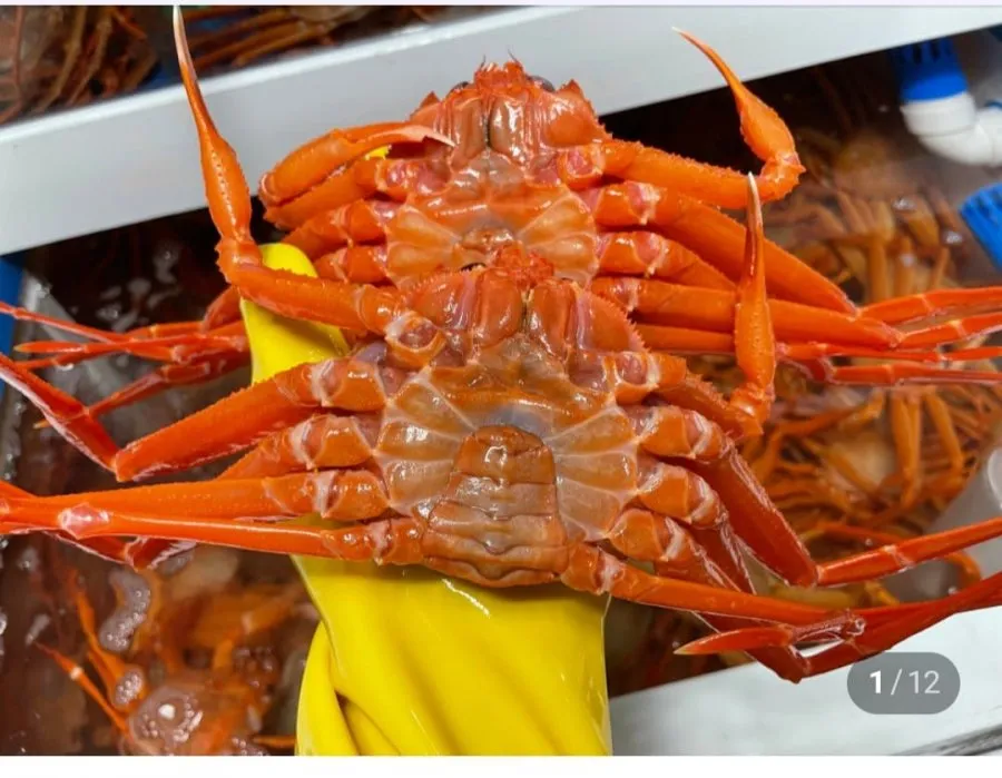 [네이버] 국산 울진 자숙 홍게4kg (23,900원/무료)