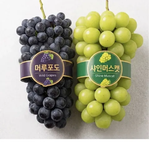 머루포도3kg 4-6수