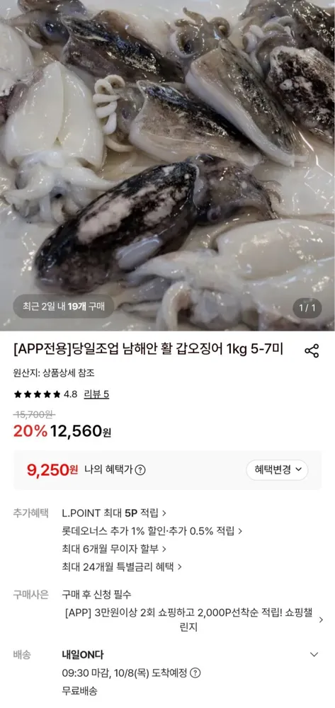 [롯데온] 당일조업 남해안 활 갑오징어 1kg 5-7미 (네페 9,250원/무배)