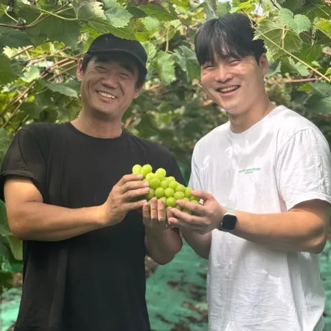 샤인머스켓 2kg 평균 18브릭스