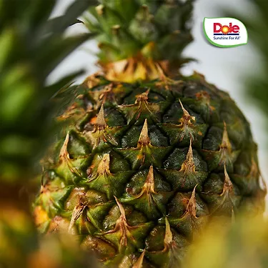 [크라운제거] Dole 스위티오 파인애플 4개 3.2kg (각 800g 내외)