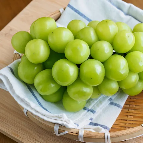 경북 특품 샤인머스켓 1kg