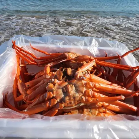 자숙홍게 3kg 12미 내외
