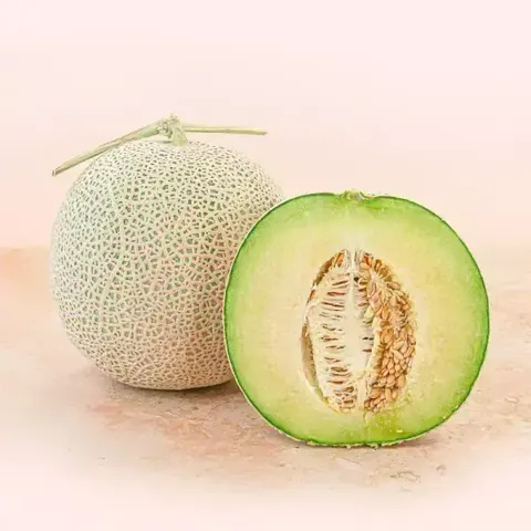 국내산 머스크 메론 2kg 대과 2수 특품