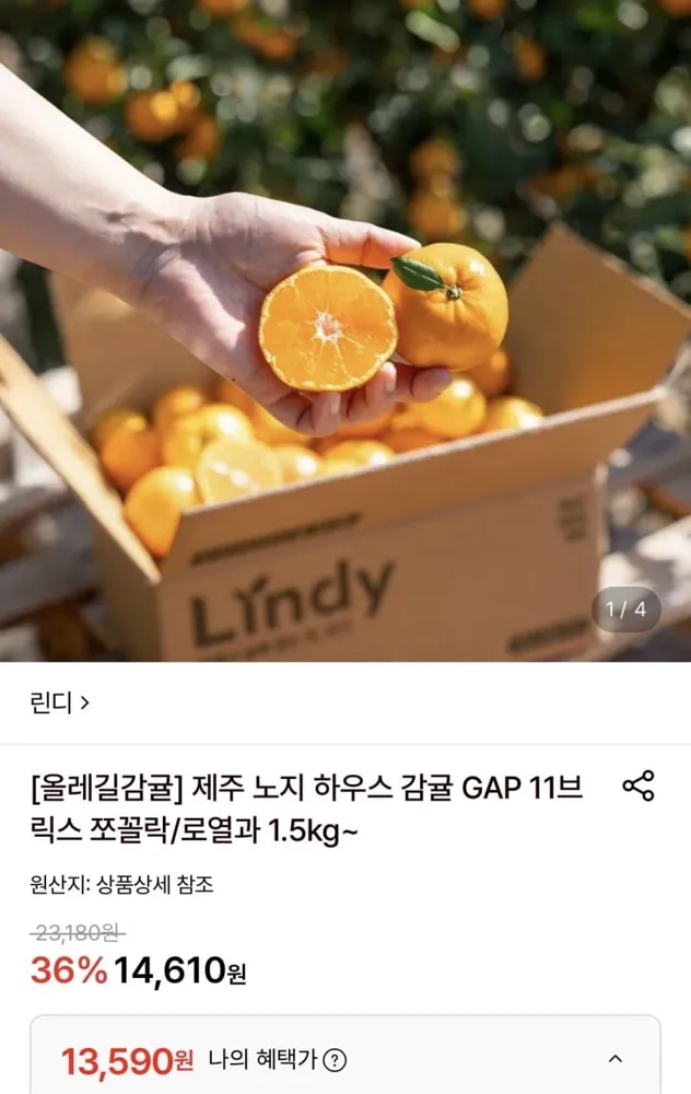 [롯데온] 올레길 하우스감귤 2kg 중대과 L-2L (13,590원/무료)
