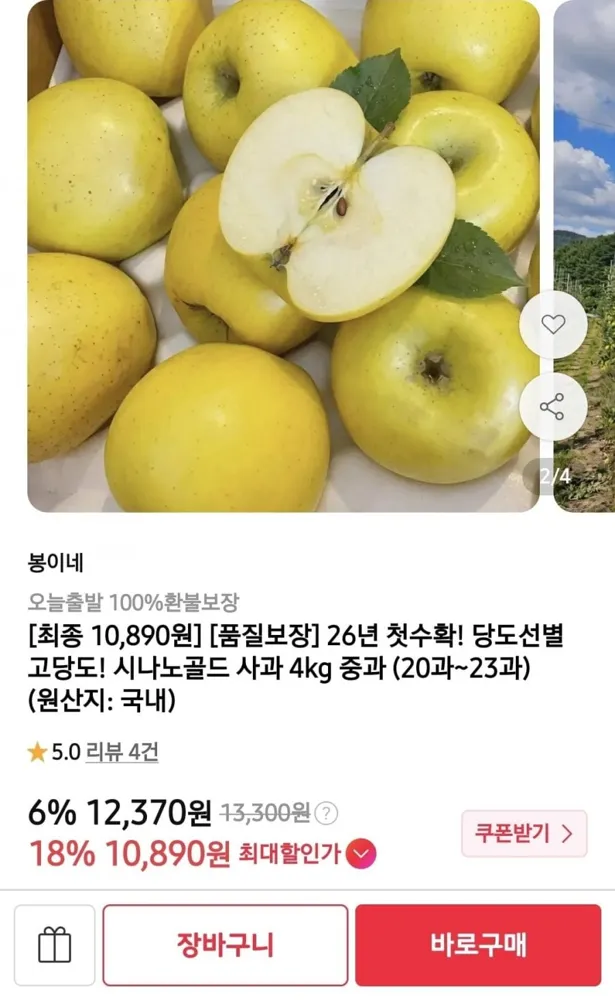 [11번가]시나노골드 사과 4kg 중과 (20과) (카카페 10,890/무배)