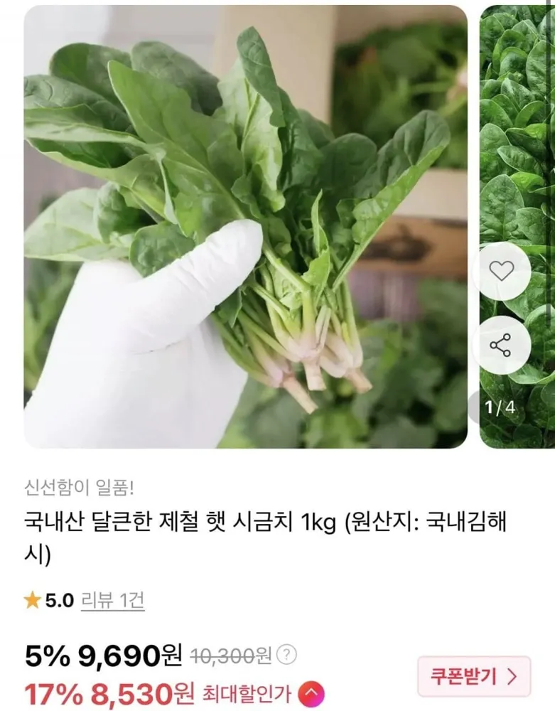 [11번가] 국내산 제철 햇 시금치 1kg (8,530원/무료)