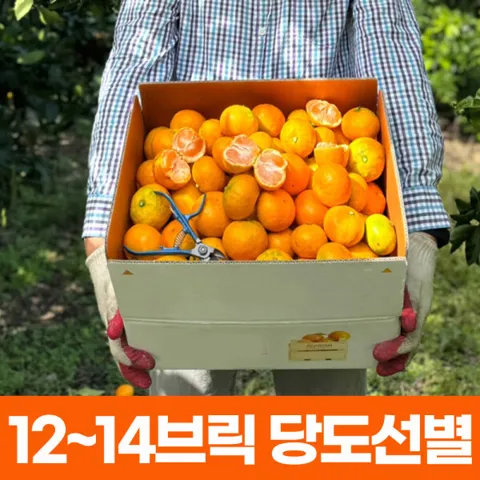 12~14 브릭 초고당도 유라 감귤 4kg