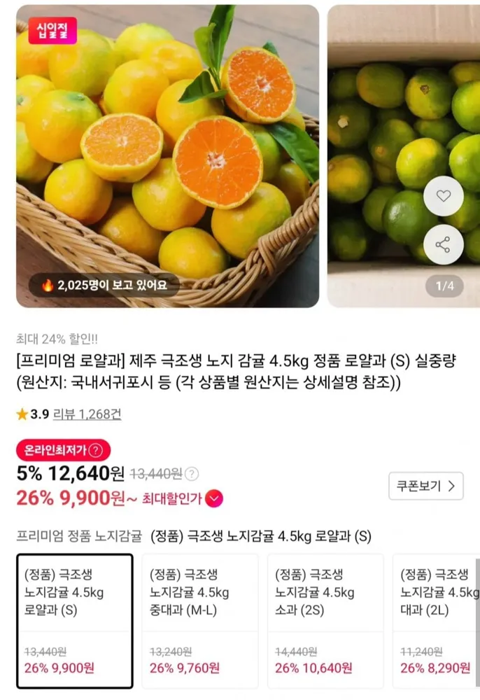 [11번가] 제주 극조생 노지감귤 로얄과 4.5kg (9,900원/무료)