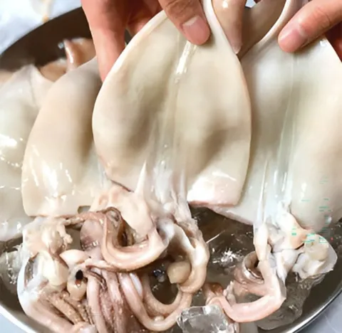 손질오징어 500g 2-3마리