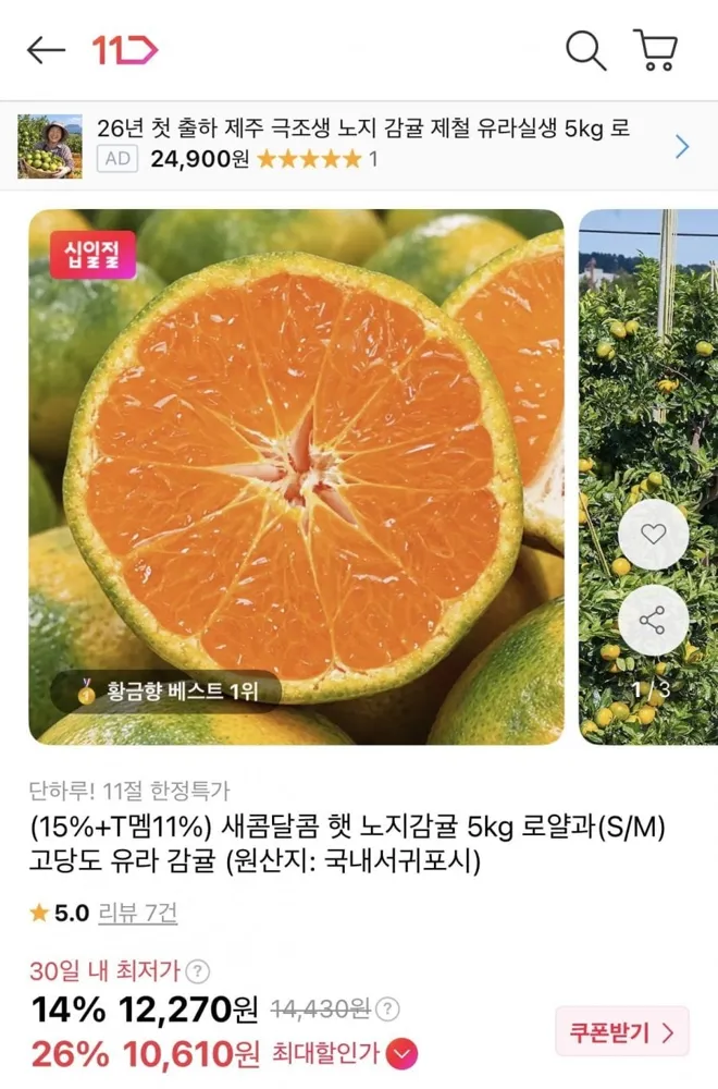 [11번가] 햇 노지감귤 5kg 로얄과 (10,610원/무료배송)