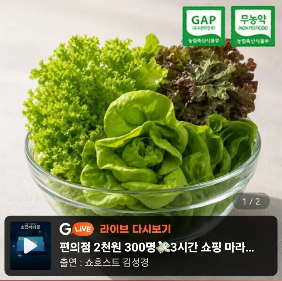 [지마켓] GAP 무농약 부여 유러피안 샐러드 유럽 채소 1kg (7,780원/무료)