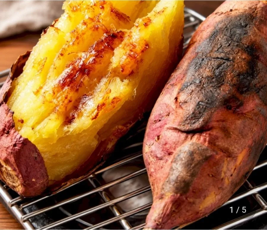 [지마켓] 해남 흙호풍미 로얄사이즈 5kg (14,850원/무료배송)