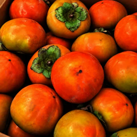 햇단감 5kg (30-35과)