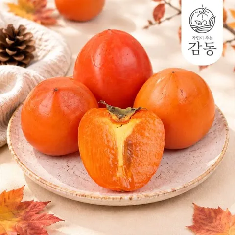 대봉감 중소과 5kg 24과내외