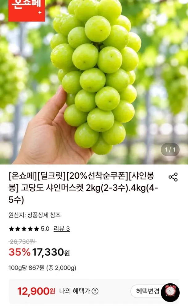 [롯데온] 고당도 샤인머스켓 2kg(2-3수) (12,900원/무료)