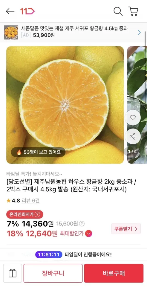 [11번가] 제주남원농협 하우스 황금향 2kg (12,640원/무배)