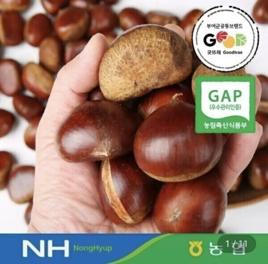 지마켓] 26년 부여 밤 햇 알밤1kg(특사이즈) GAP(7,990원/무료)