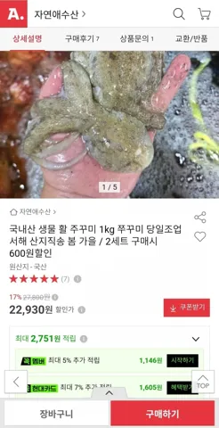 국내산 생물 활 주꾸미 1kg 15~20미