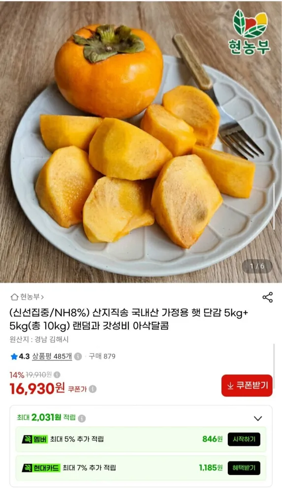 [G마켓] 가정용 햇 단감 10kg (16,930원/무료)
