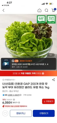 무농약 부여 유러피안 샐러드 채소 1kg