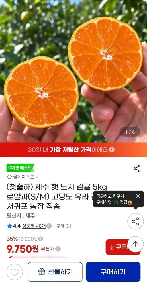 [지마켓] 제주 햇 노지감귤 5kg 로얄과 (9,750/무배)